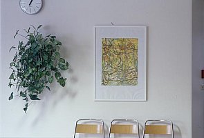 kunst im krankenhaus waidhofen a.d. thaya